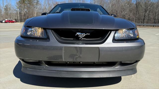 used 2003 Ford Mustang car, priced at $33,000