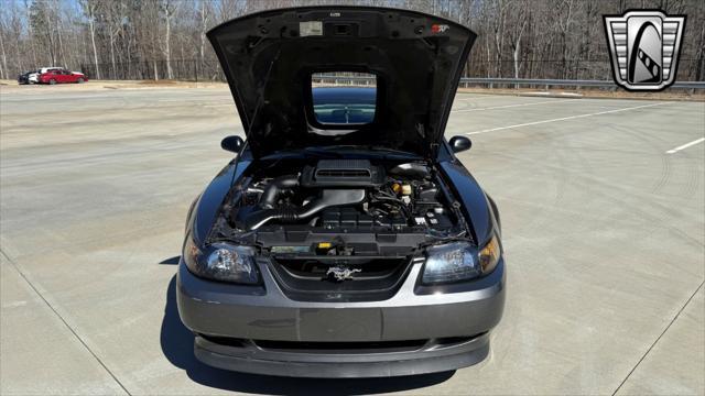 used 2003 Ford Mustang car, priced at $33,000