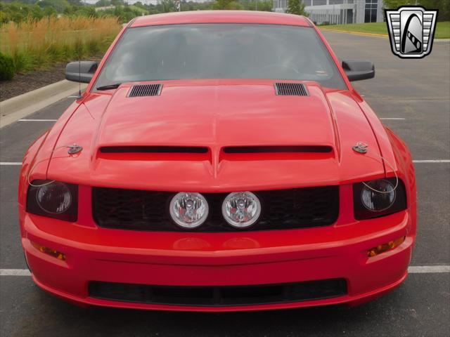 used 2006 Ford Mustang car, priced at $29,000