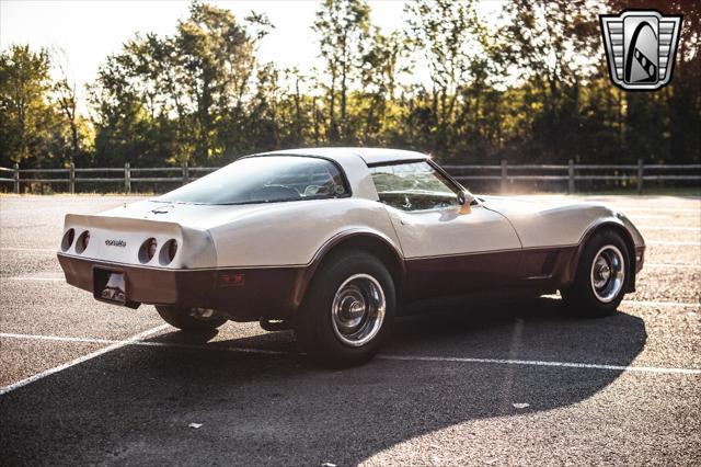 used 1981 Chevrolet Corvette car, priced at $19,000