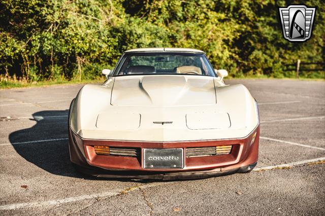 used 1981 Chevrolet Corvette car, priced at $19,000