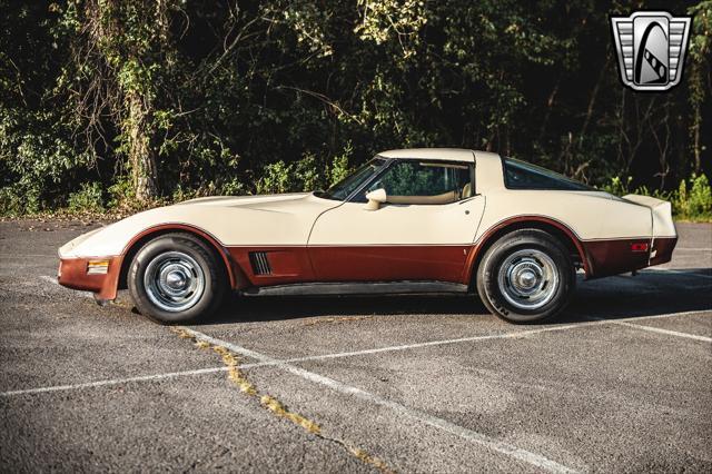 used 1981 Chevrolet Corvette car, priced at $19,000