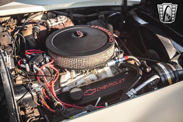 used 1981 Chevrolet Corvette car, priced at $19,000