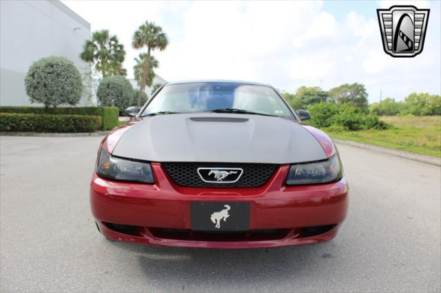 used 2000 Ford Mustang car, priced at $14,500