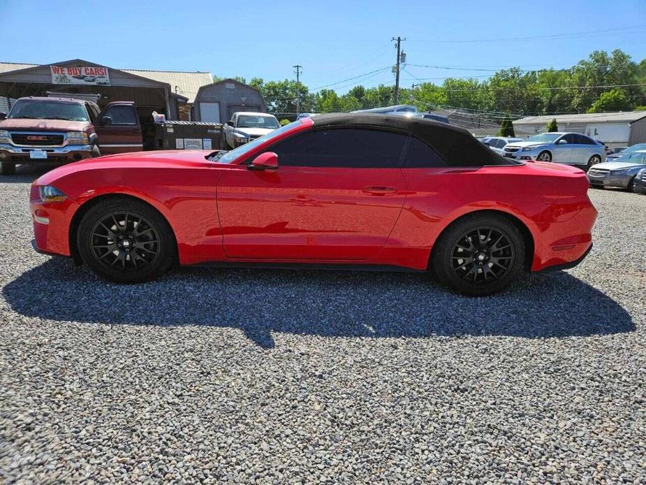 used 2019 Ford Mustang car, priced at $18,900