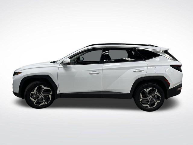 used 2023 Hyundai TUCSON Hybrid car, priced at $27,844