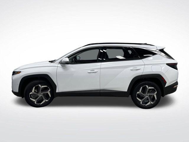 used 2024 Hyundai TUCSON Hybrid car, priced at $30,238