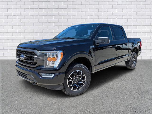 used 2023 Ford F-150 car, priced at $40,997