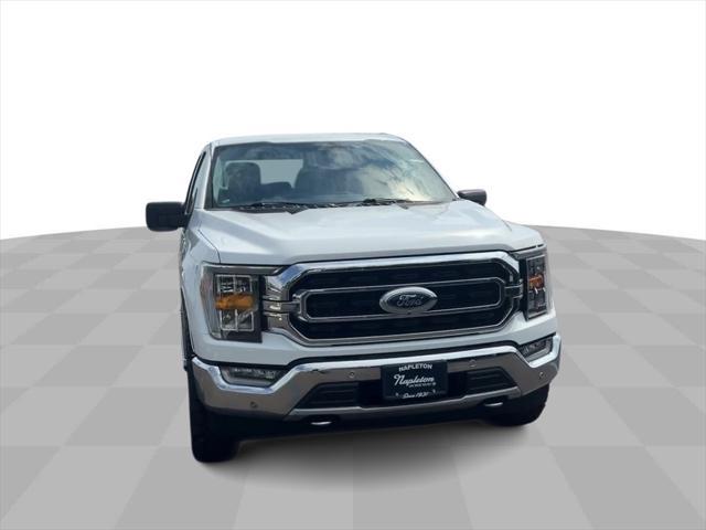 used 2021 Ford F-150 car, priced at $35,555