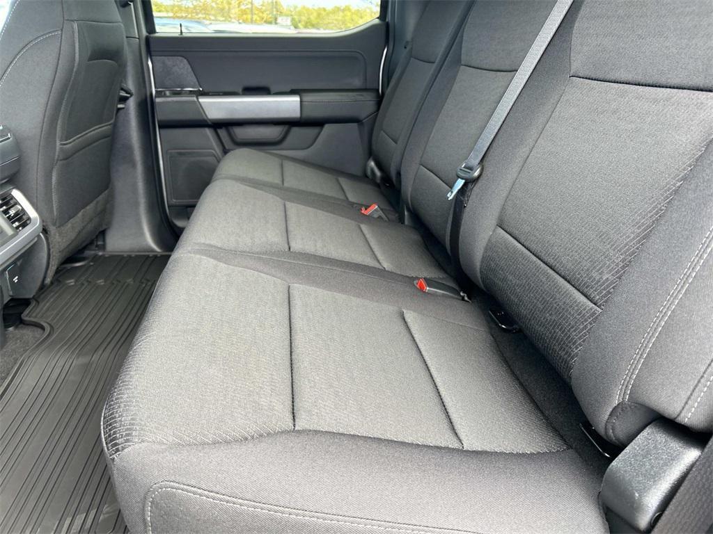 new 2025 Ford F-150 car, priced at $66,000