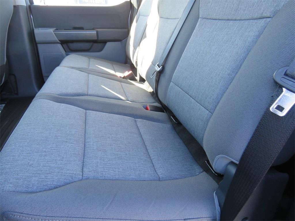new 2025 Ford F-150 car, priced at $48,000