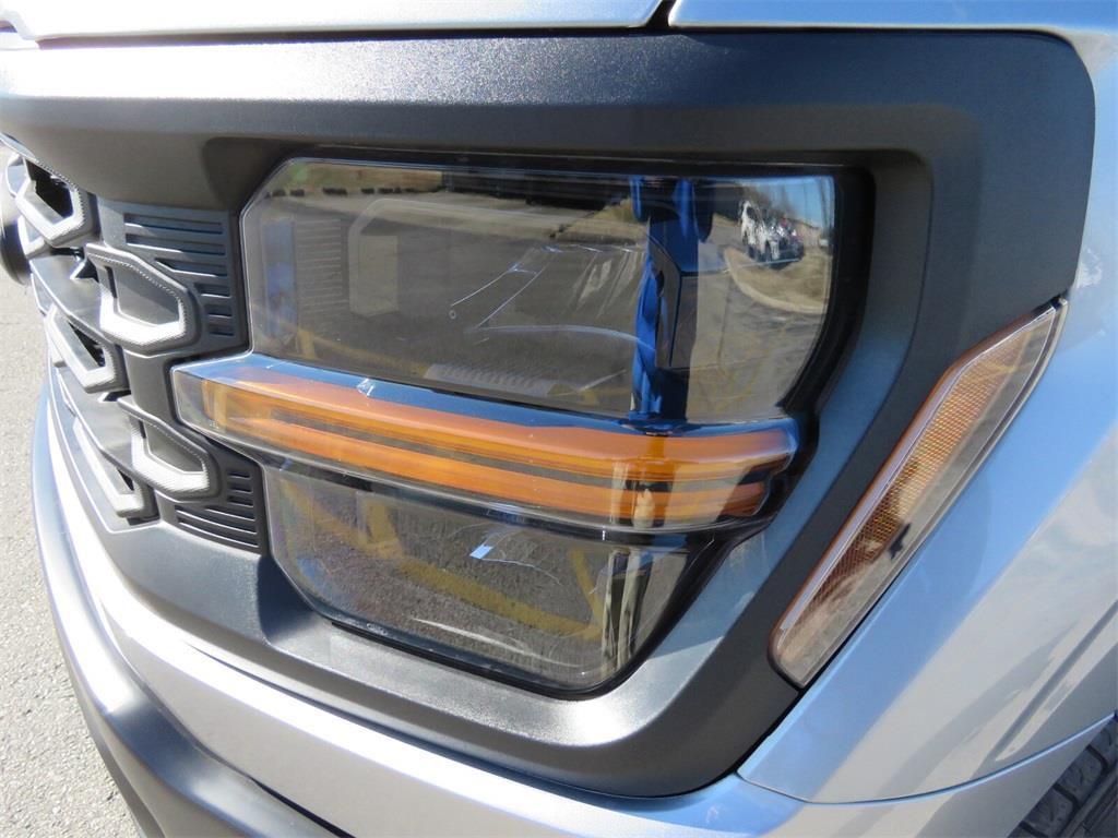 new 2025 Ford F-150 car, priced at $48,000