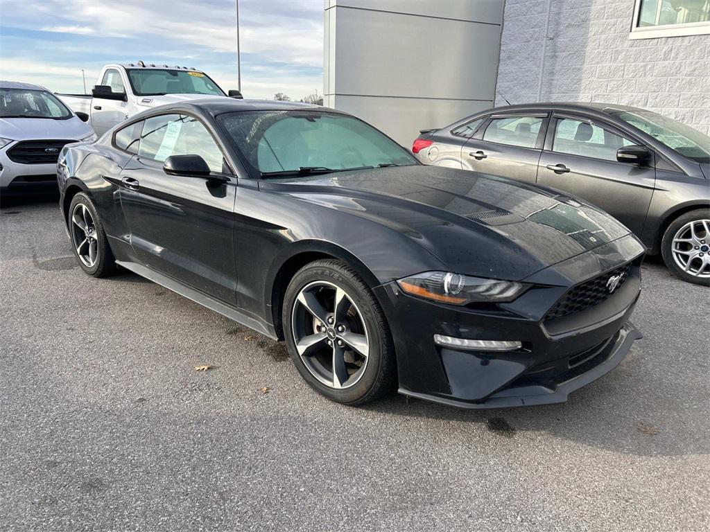 used 2019 Ford Mustang car, priced at $16,981