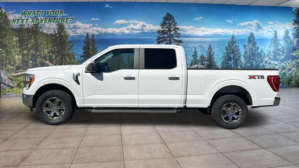 used 2021 Ford F-150 car