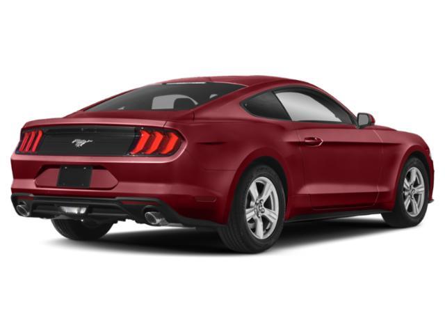used 2019 Ford Mustang car, priced at $18,999