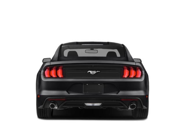 used 2019 Ford Mustang car, priced at $17,499