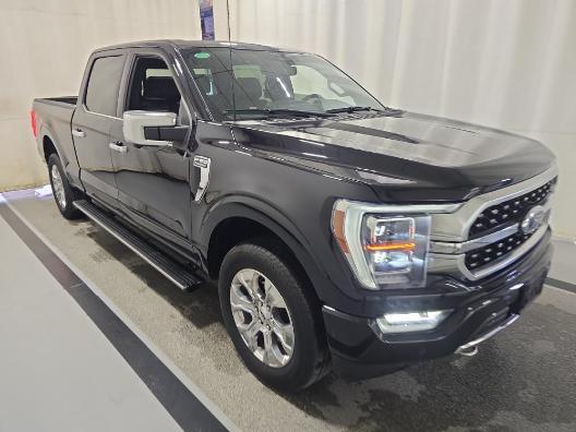used 2023 Ford F-150 car, priced at $58,500