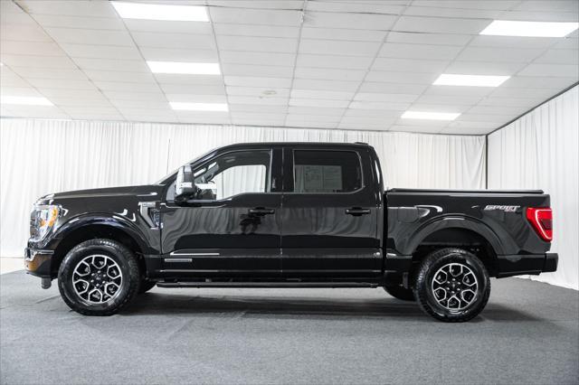 used 2023 Ford F-150 car, priced at $44,500
