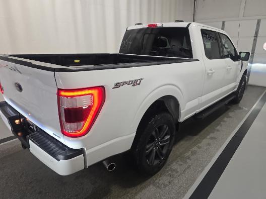 used 2023 Ford F-150 car, priced at $52,500