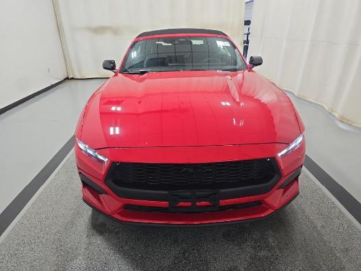 used 2024 Ford Mustang car, priced at $38,500