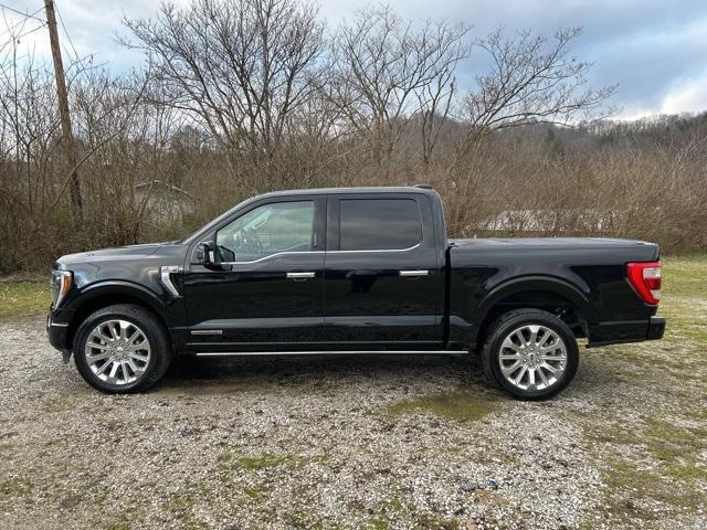 used 2023 Ford F-150 car, priced at $58,500