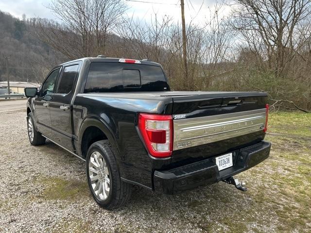 used 2023 Ford F-150 car, priced at $58,500