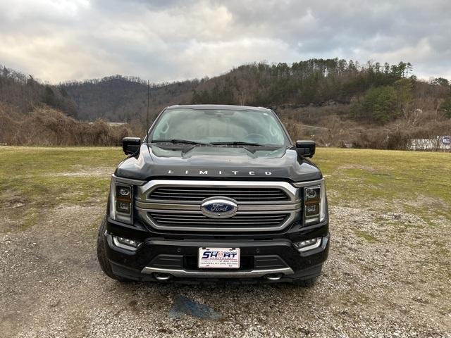 used 2023 Ford F-150 car, priced at $58,500