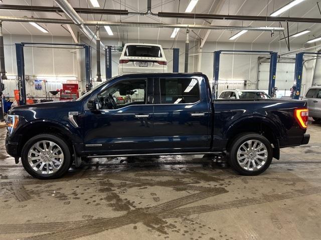 used 2023 Ford F-150 car, priced at $58,500