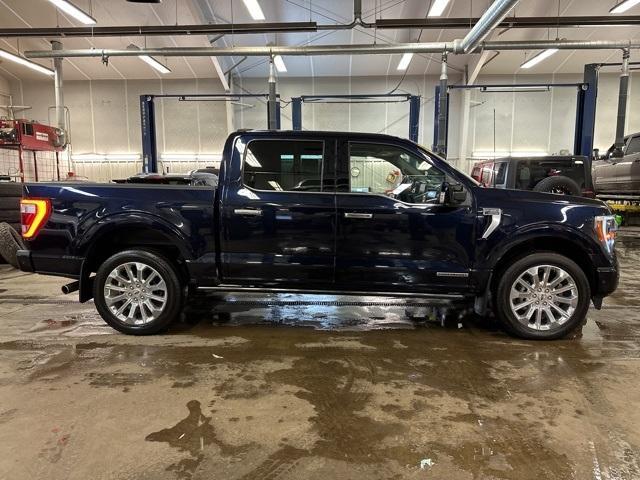 used 2023 Ford F-150 car, priced at $58,500