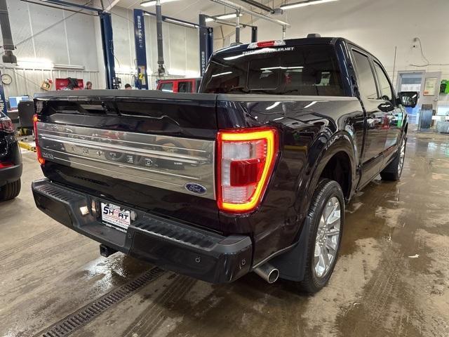 used 2023 Ford F-150 car, priced at $58,500