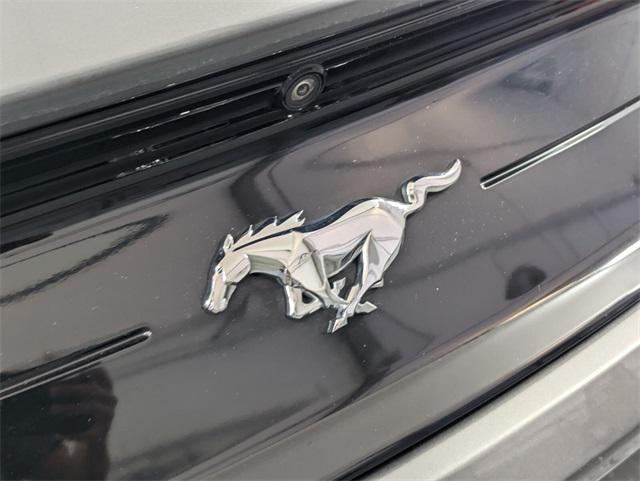 used 2021 Ford Mustang car, priced at $22,991