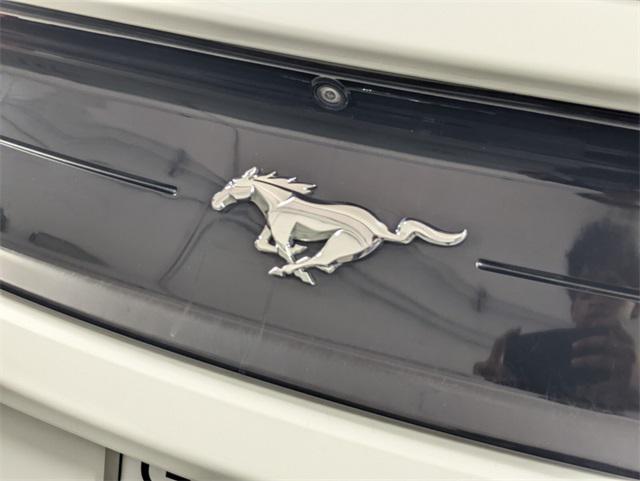 used 2019 Ford Mustang car, priced at $16,999