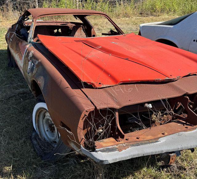 used 1975 Pontiac Firebird car