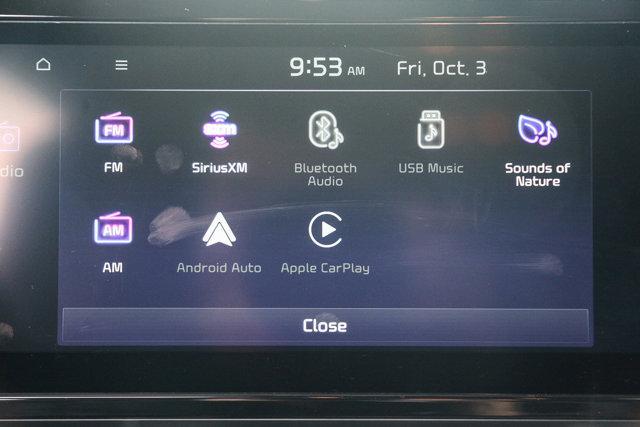 used 2024 Kia Carnival car, priced at $35,000