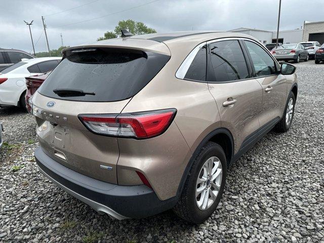 used 2020 Ford Escape car, priced at $17,600