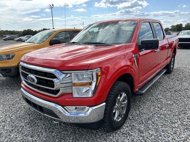 used 2021 Ford F-150 car, priced at $39,000