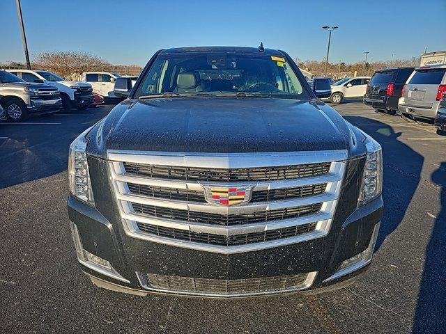 used 2016 Cadillac Escalade car, priced at $25,800