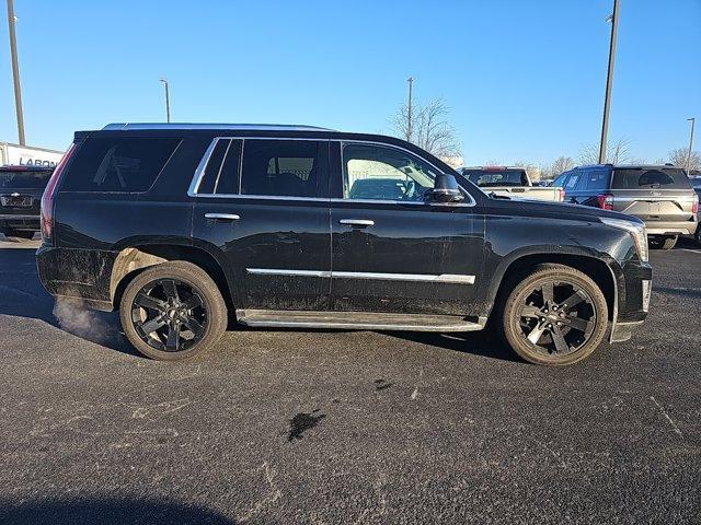 used 2016 Cadillac Escalade car, priced at $25,800