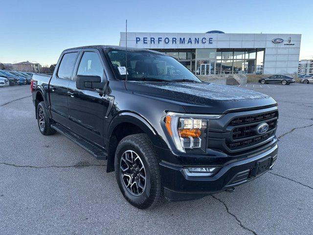 used 2023 Ford F-150 car, priced at $43,993