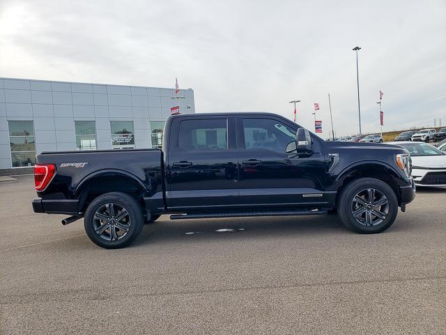 used 2023 Ford F-150 car, priced at $33,986