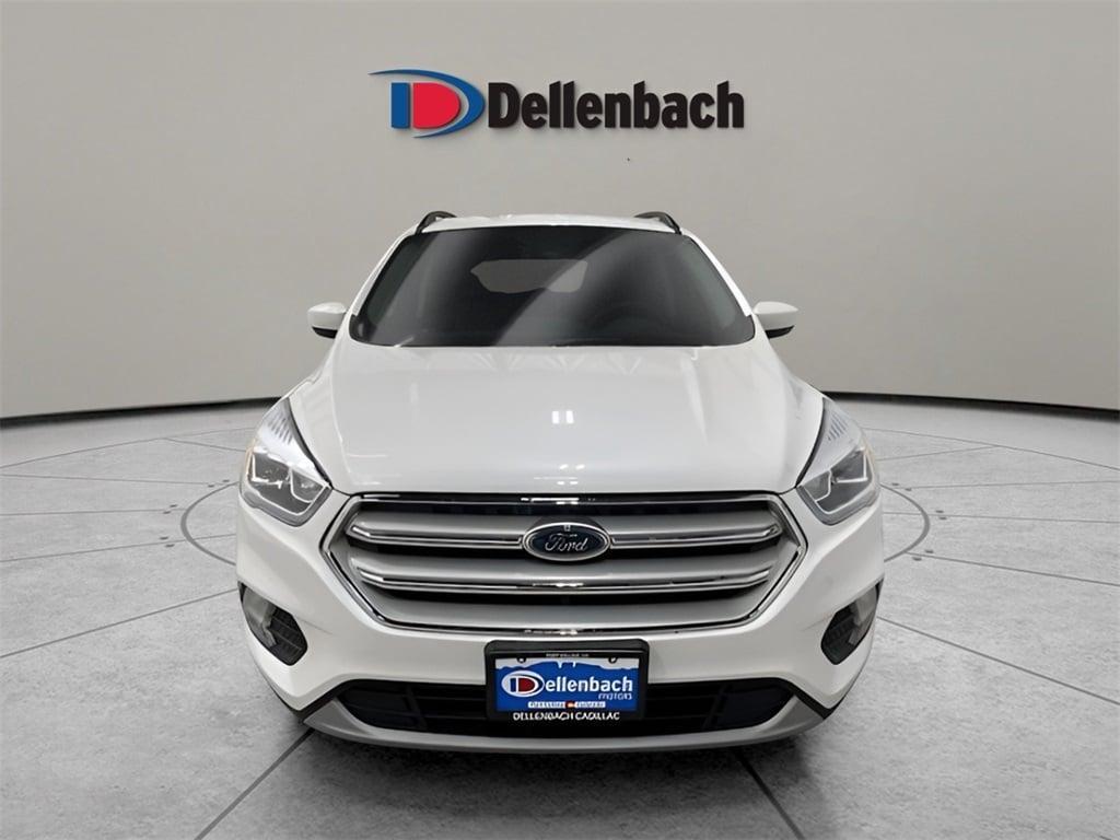 used 2019 Ford Escape car, priced at $20,500