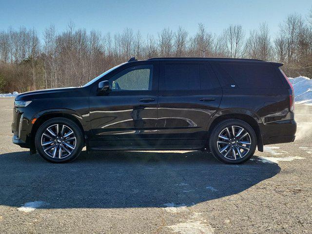 used 2022 Cadillac Escalade car, priced at $65,446