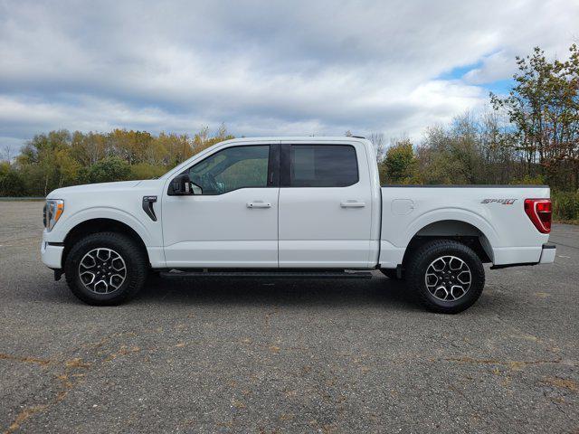 used 2021 Ford F-150 car, priced at $33,119