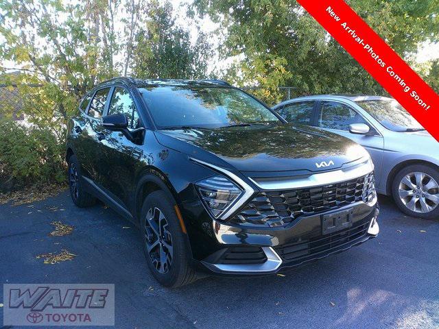 used 2024 Kia Sportage Hybrid car