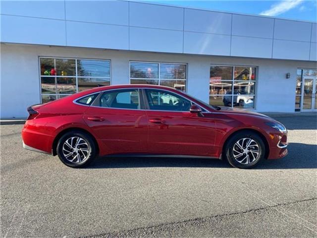 used 2023 Hyundai Sonata Hybrid car, priced at $22,900