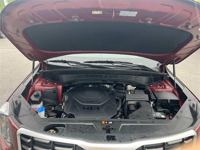 used 2023 Kia Telluride car