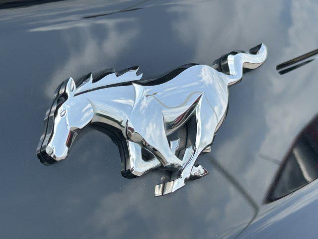 used 2019 Ford Mustang car, priced at $20,146