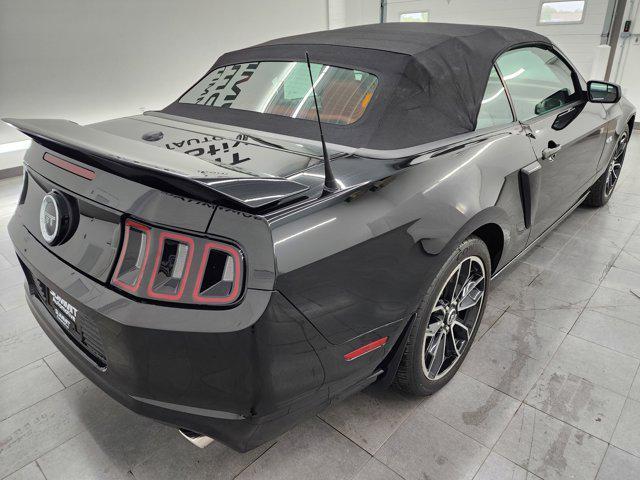 used 2014 Ford Mustang car