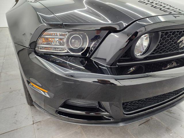 used 2014 Ford Mustang car