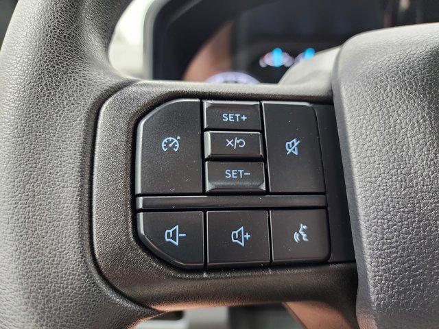 used 2024 Ford F-250 car, priced at $52,999